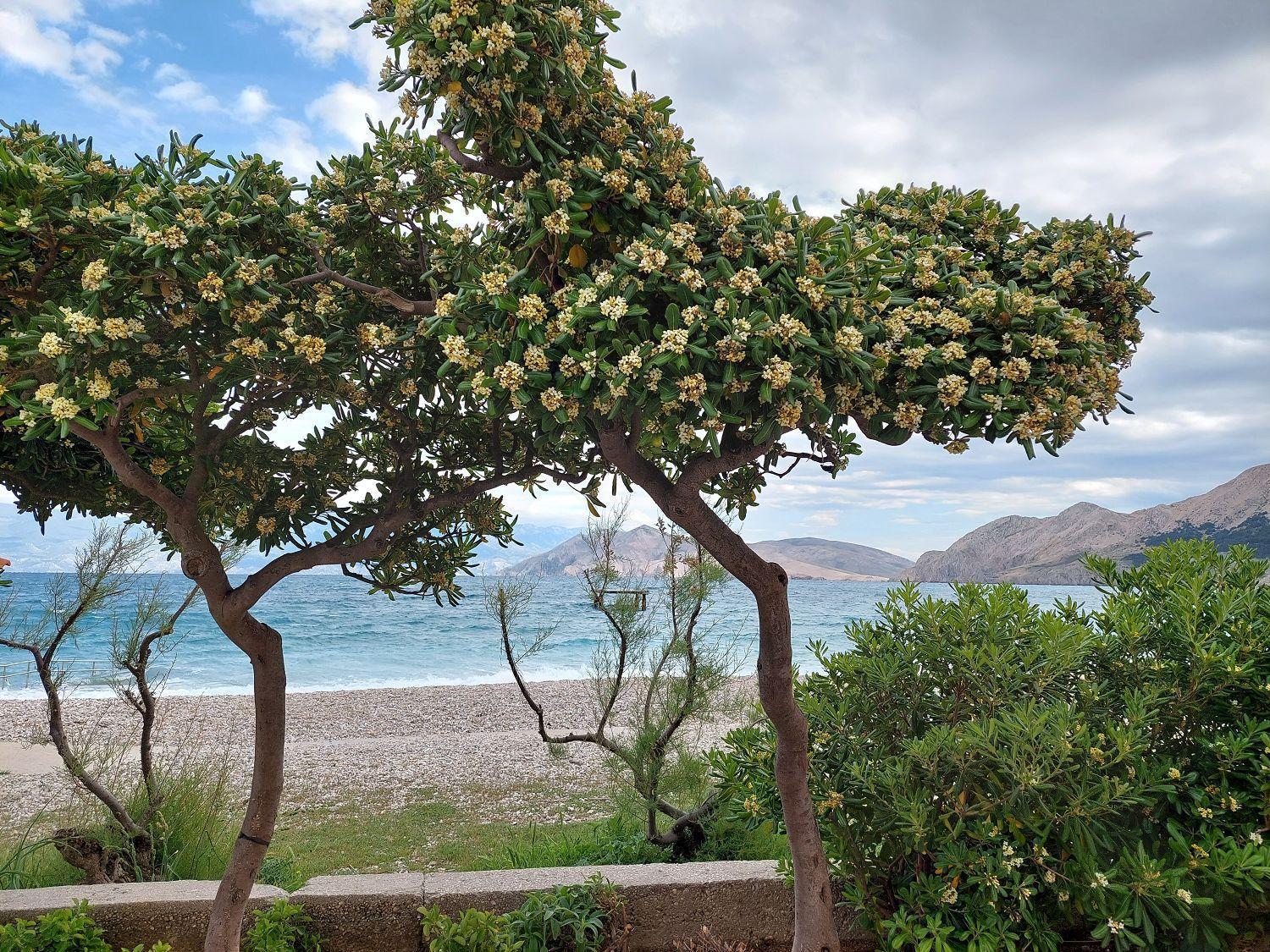 Erste Reihe Zum Meer Baška Exterior foto